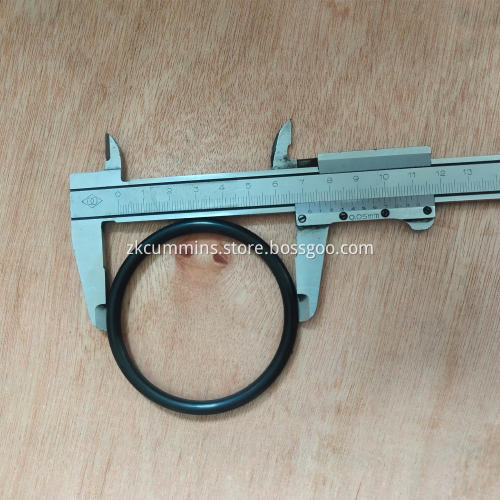 3081695 Cummins O Ring Seal